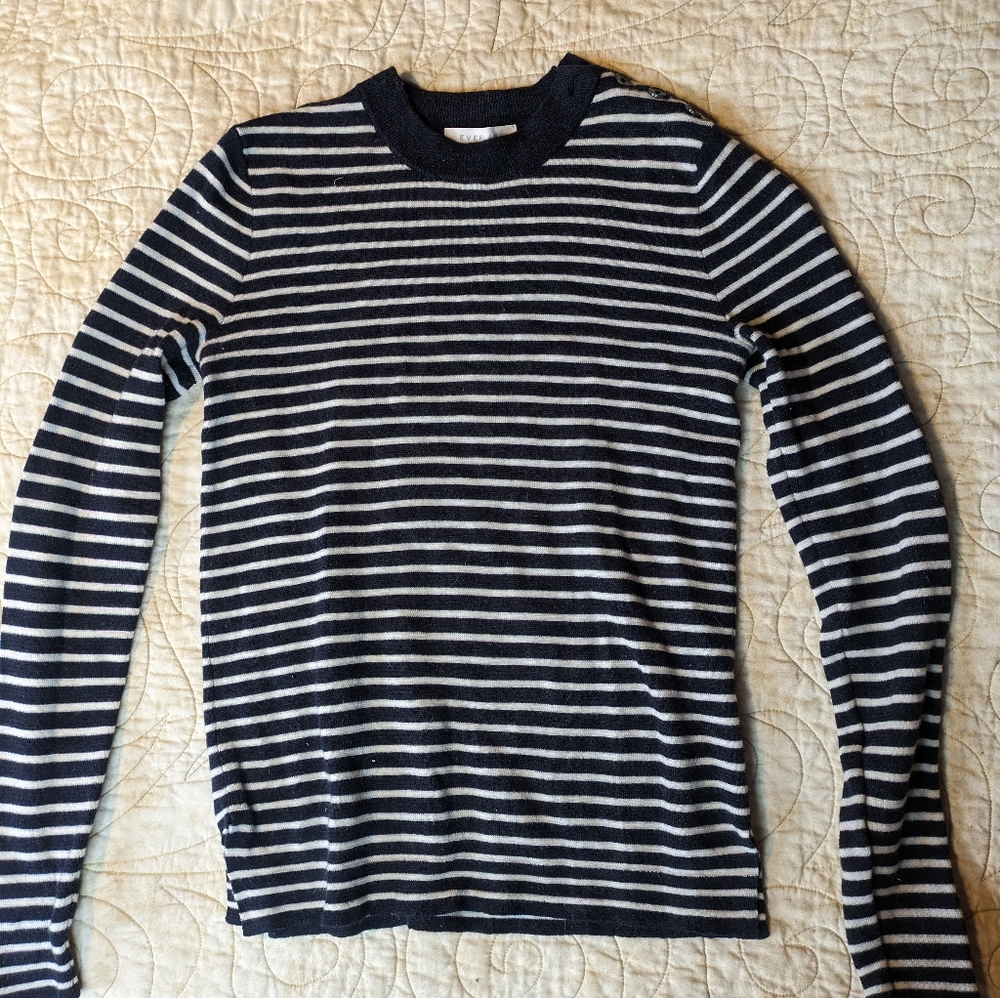 Everlane the Merino wool stripe high crew sweater white navy stripe